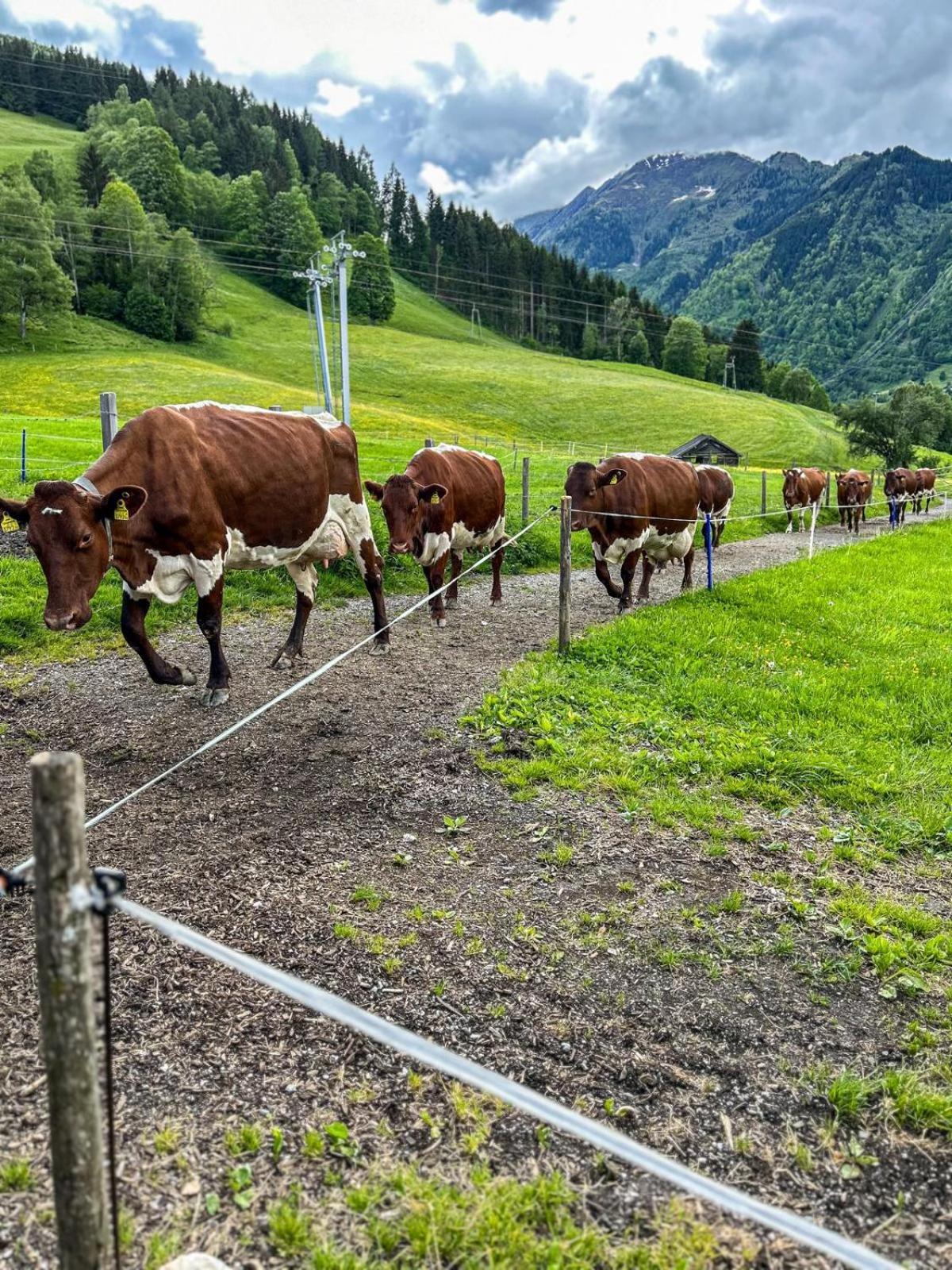 Oberlehenhof Villa Kaprun Rum bild